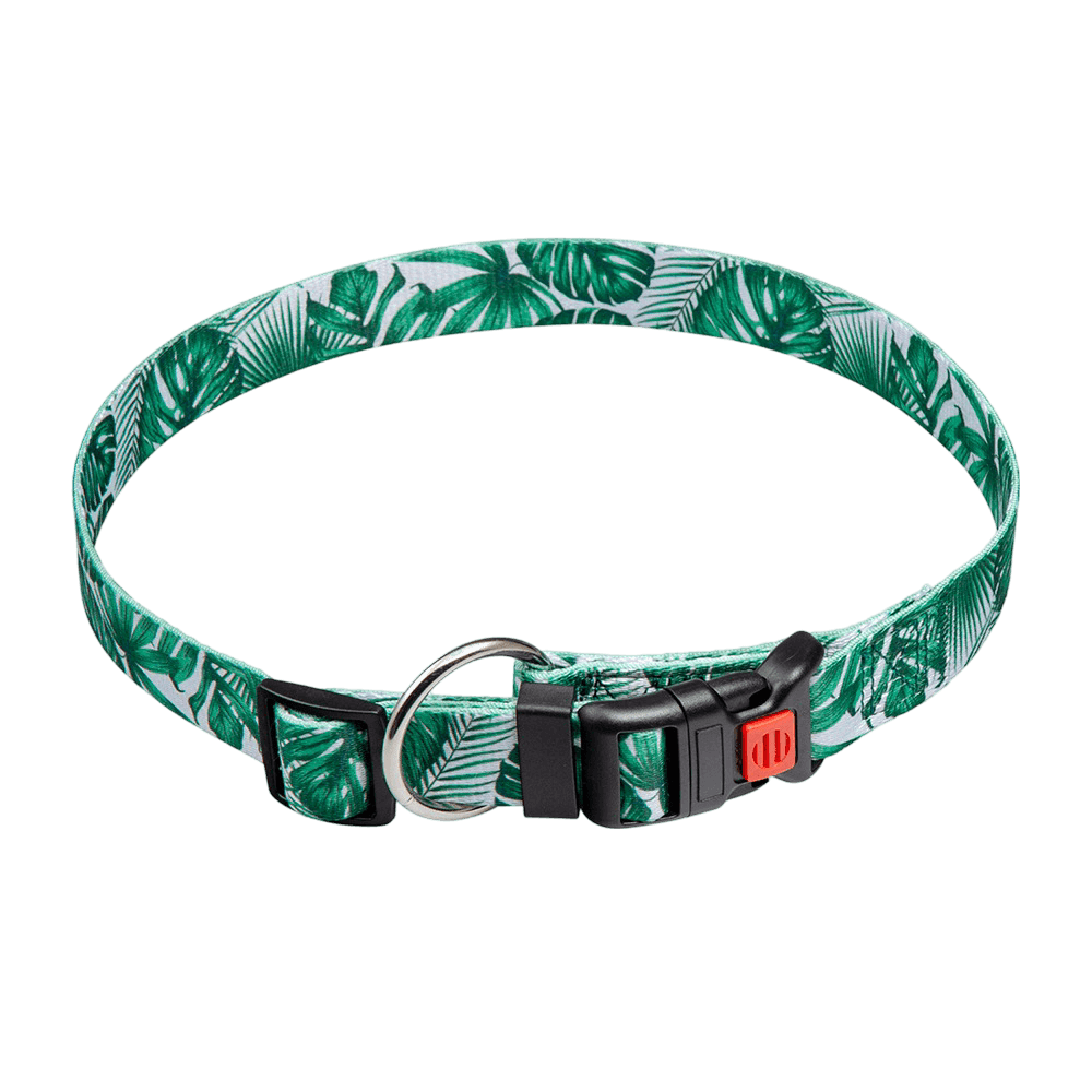 paws-for-life-collar-palms