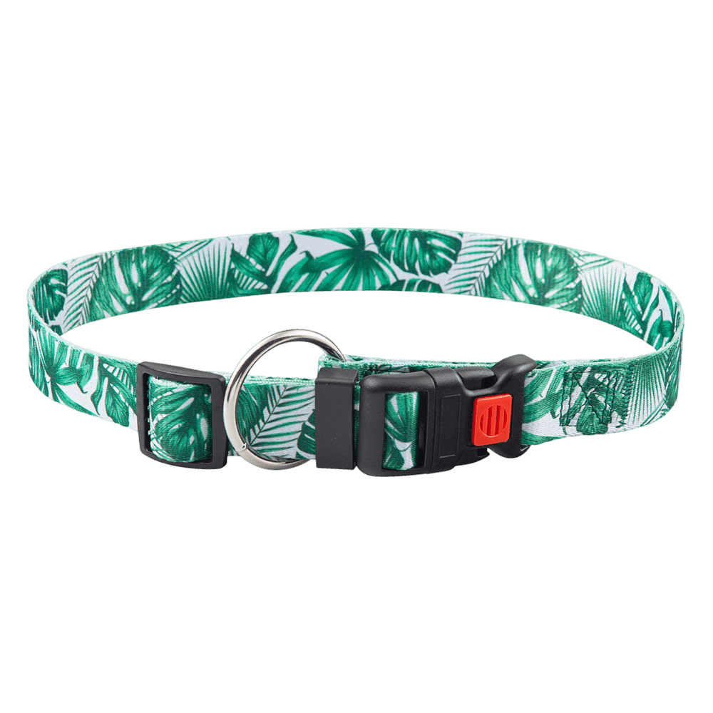 paws-for-life-collar-palms