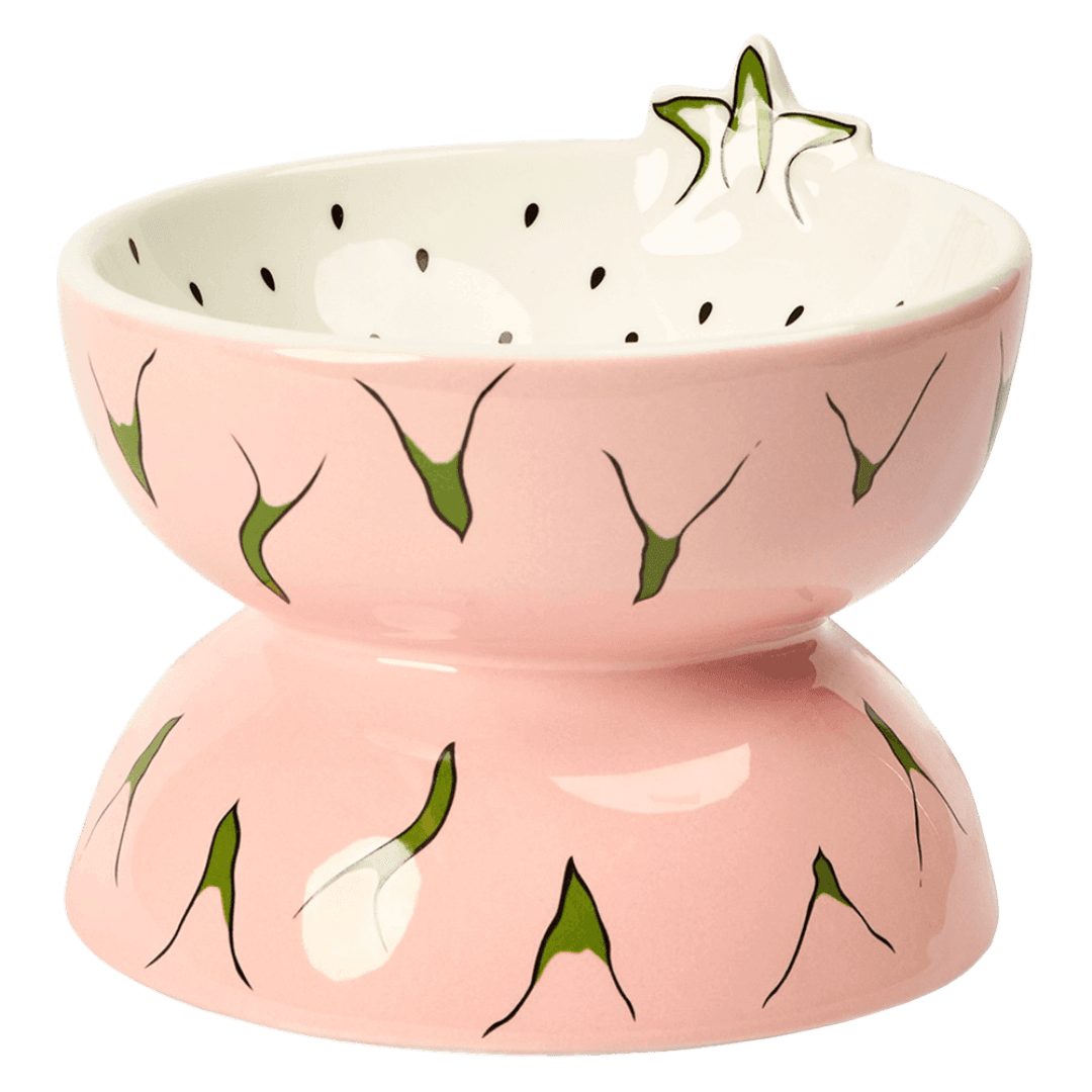 paws-for-life-dragon-fruit-ceramic-pet-bowl