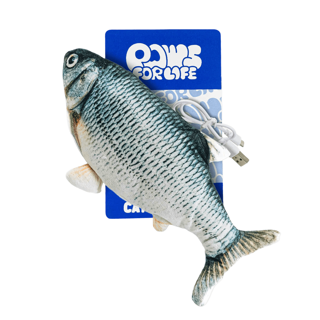 paws-for-life-electronic-floppy-fish
