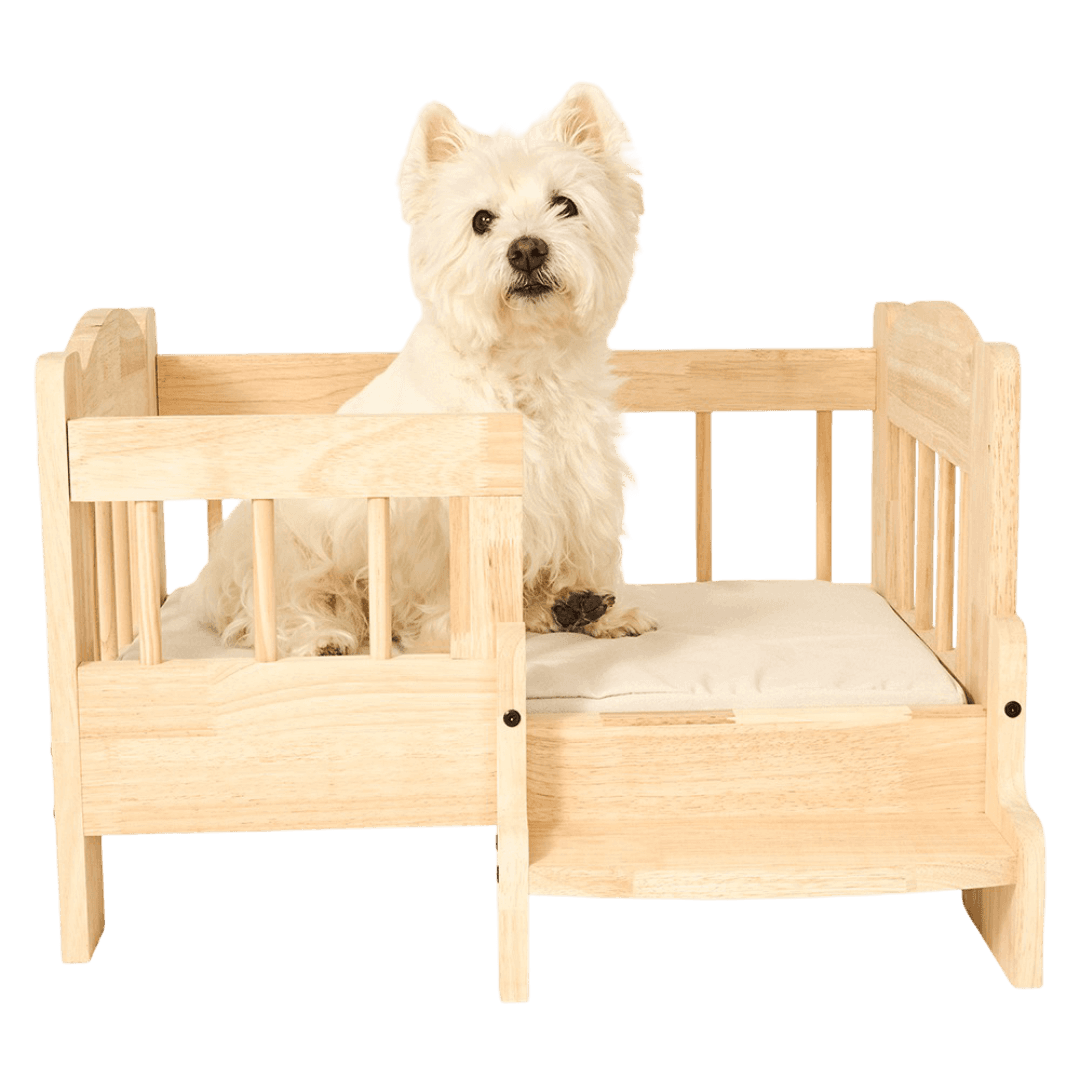 paws-for-life-elevated-pet-bed-with-stairs