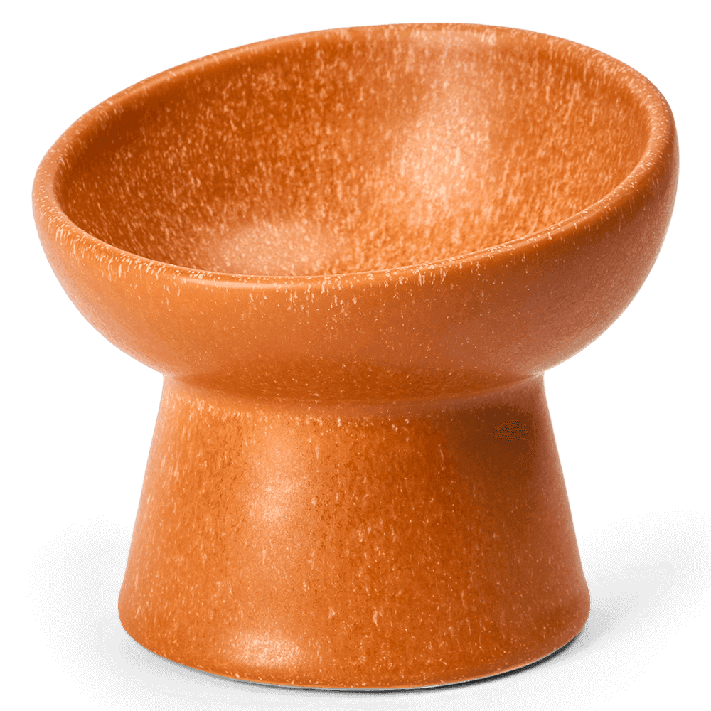 paws-for-life-ergonomic-and-elevated-ceramic-pet-bowl-terracota