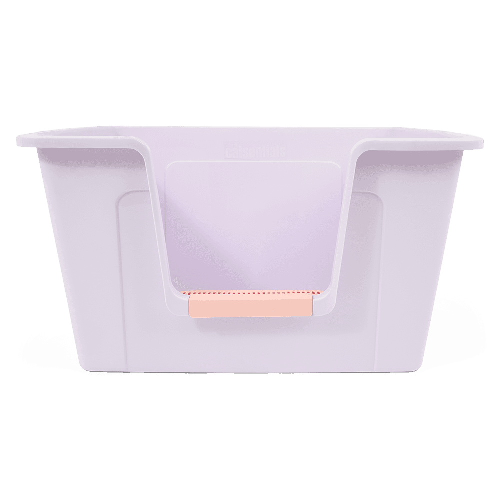 Extra Large Large Breed Cat Litter Box Purple