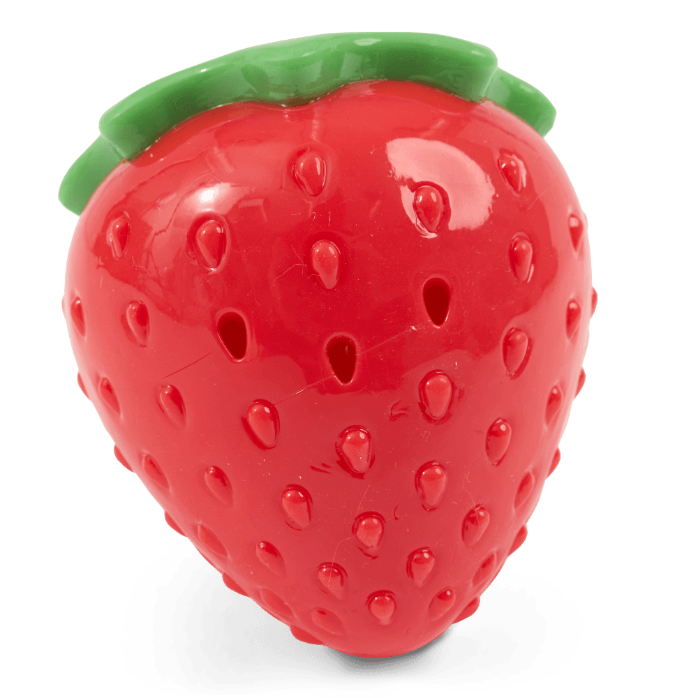 paws-for-life-freezable-strawberry-cooling-summer-dog-toy