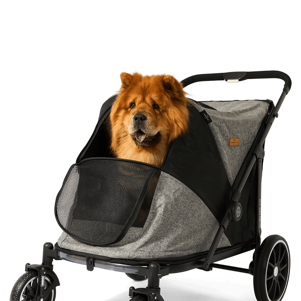 paws-for-life-foldable-large-pet-stroller-black
