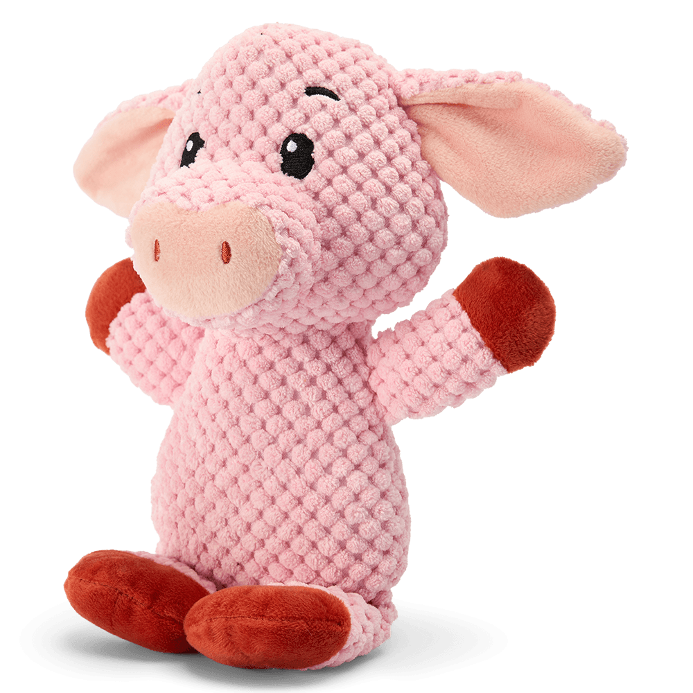 Pig Plush Dog Toy