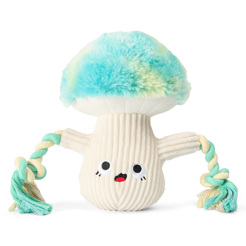 paws-for-life-plush-cute-mushroom-with-rope-hands-dog-tug-toy