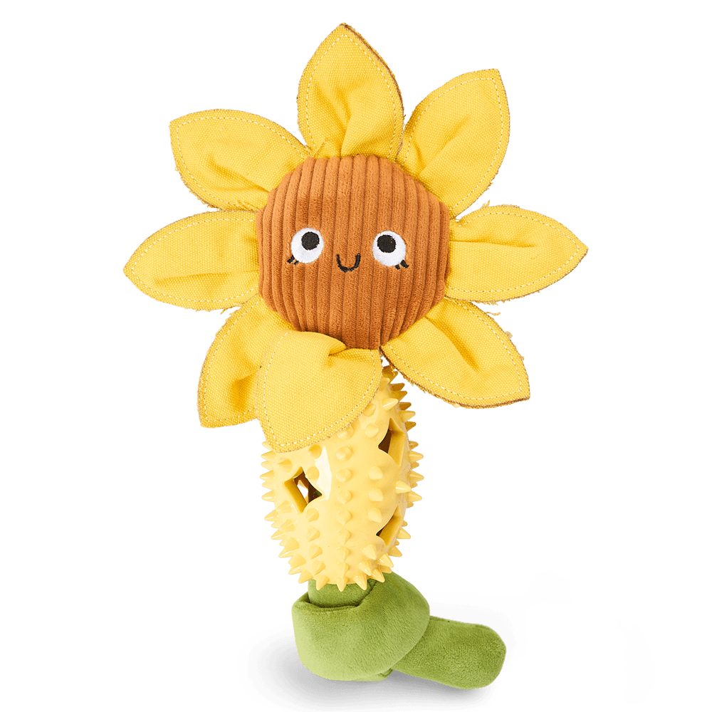 paws-for-life-tpr-treat-dispenser-with-plush-sunflower-dog-toy