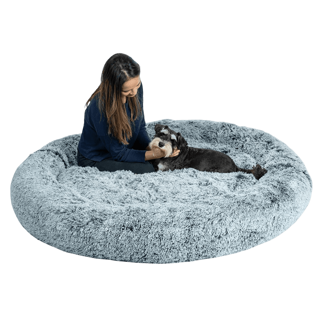 pawz-human-size-memory-foam-calming-pet-mattress-charcoal