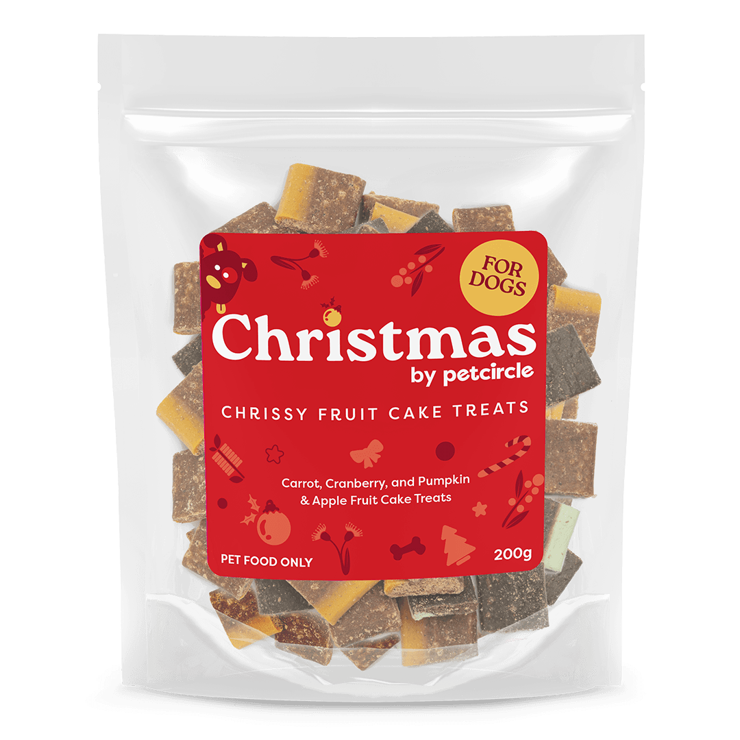 Chrissy Fruit Cake Dog Treats