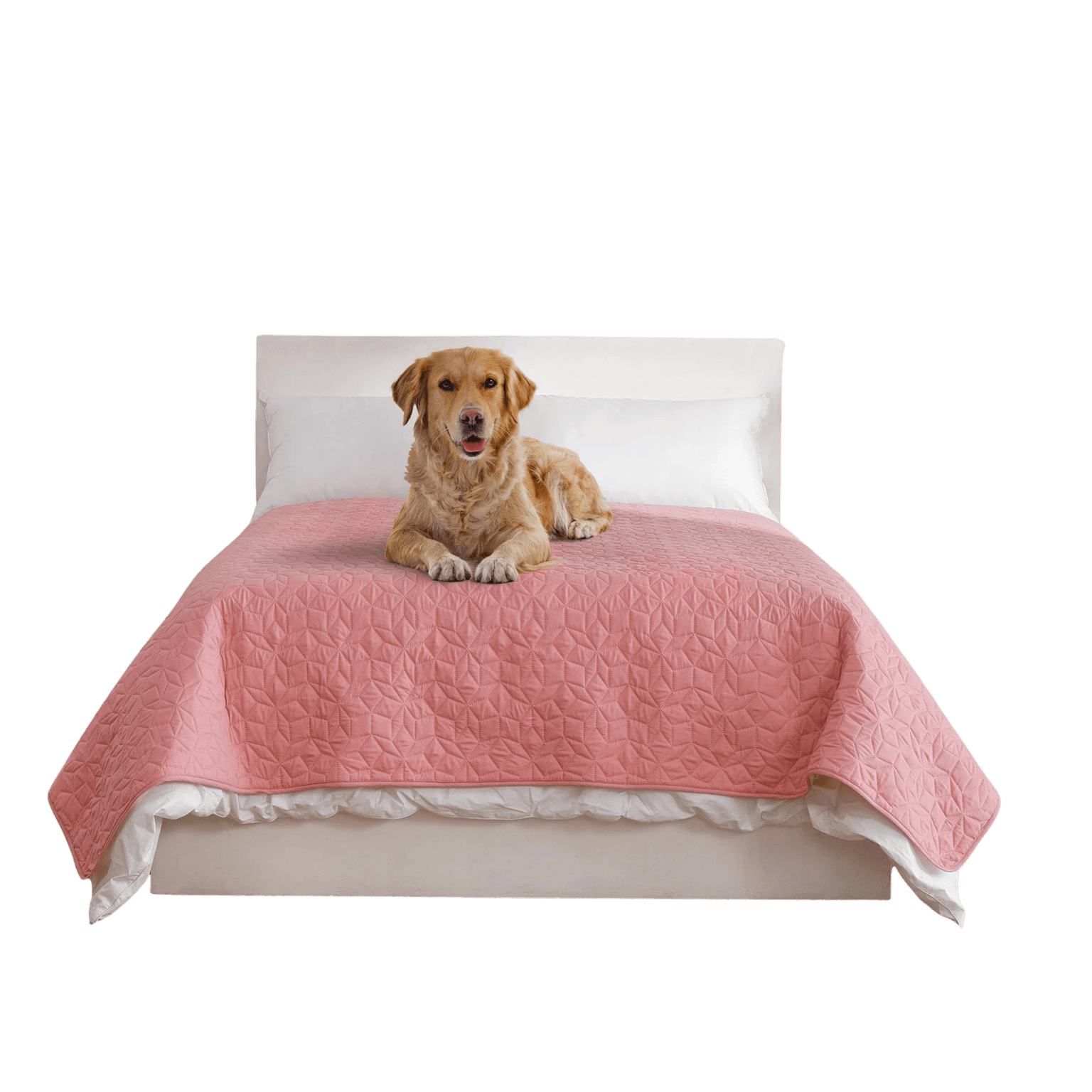 Sofur Waterproof Dog Bed Cover Protector Pink