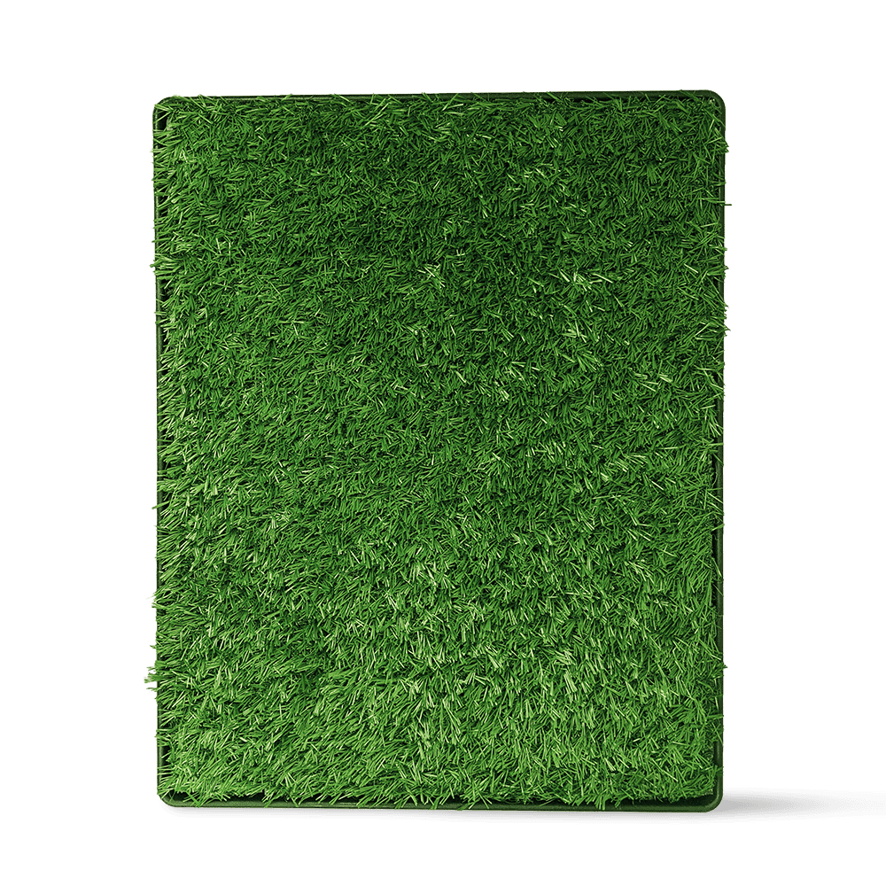 poowee-grass-replacement