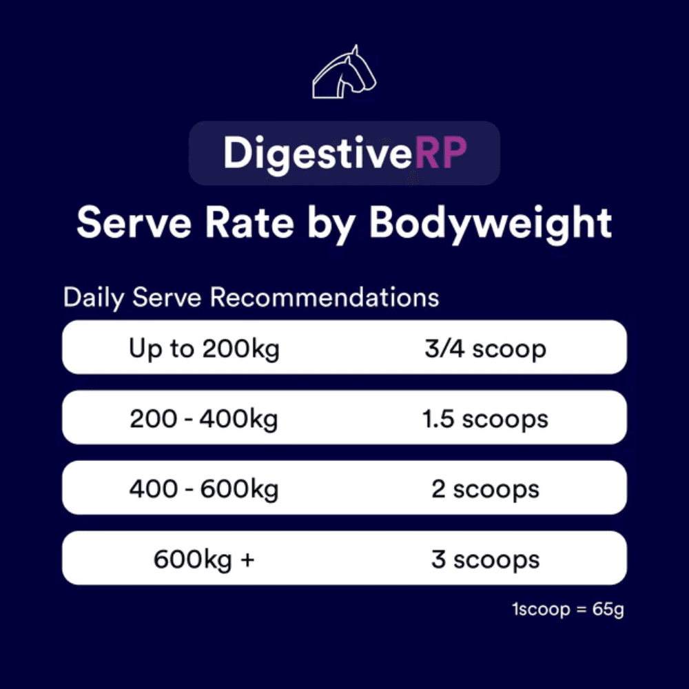 Digestive rp 4