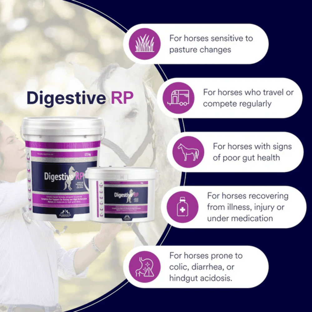 Digestive rp 2