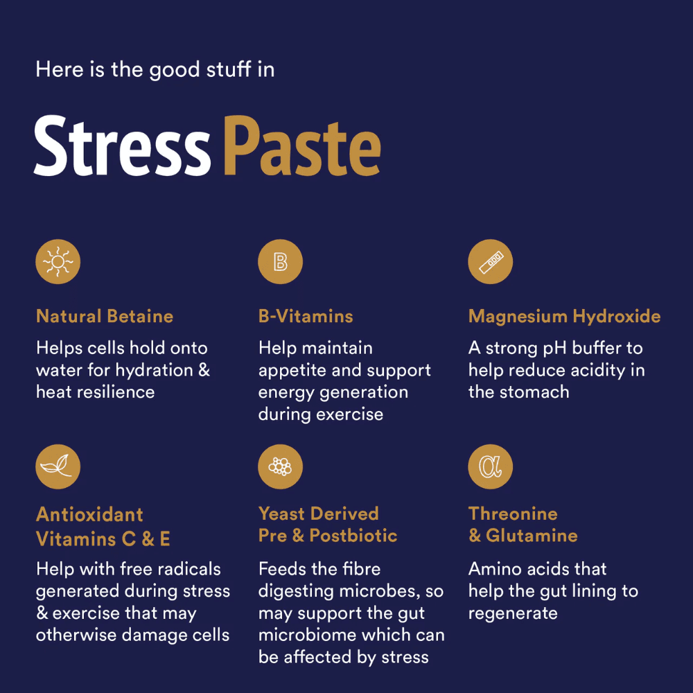 WPSP360 info2