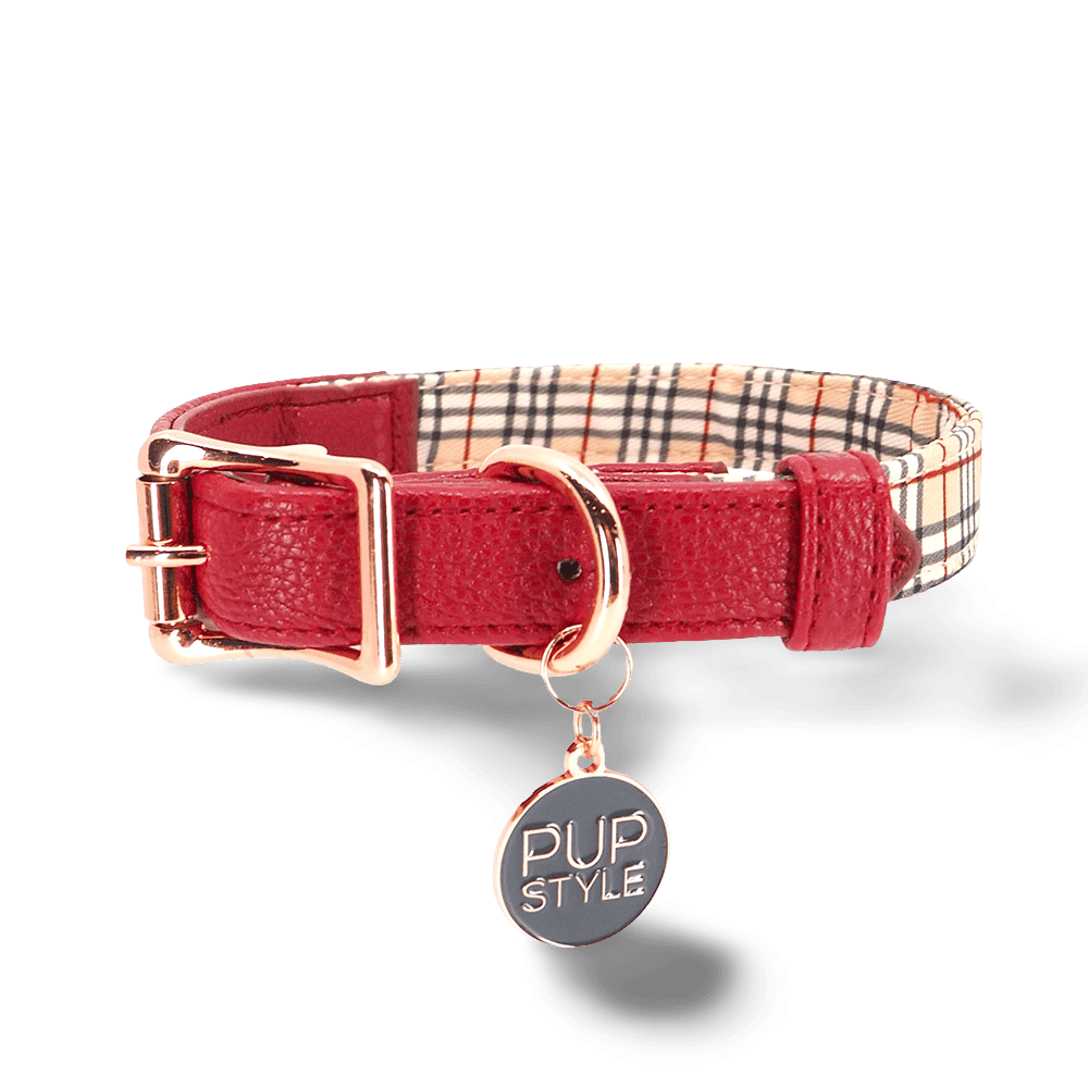 pupstyle-houndbury-city-collar