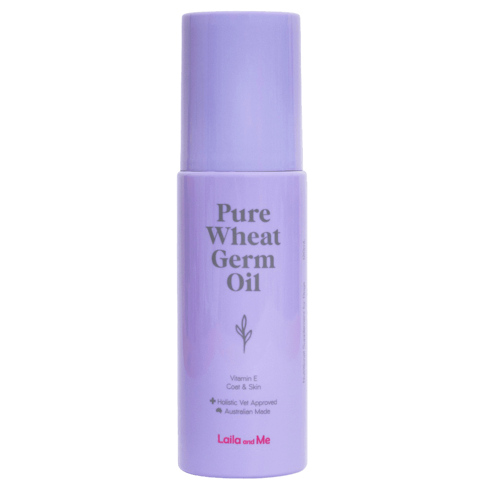 Wheatgerm Oil For Dogs