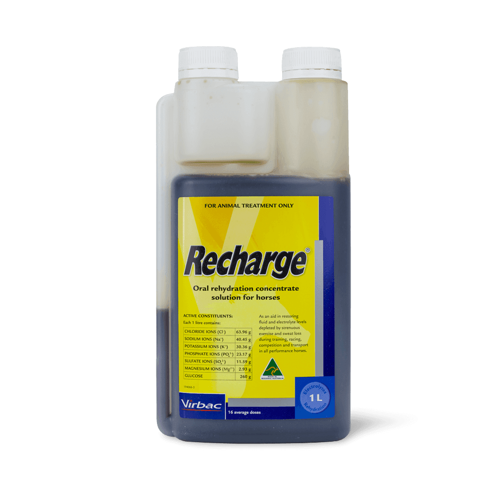 recharge-horse-rehydration-concentrate
