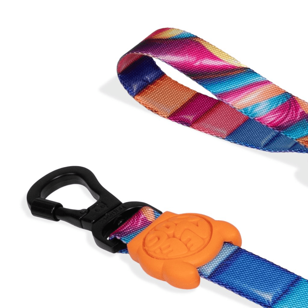 ZEE DOG H3D Bounce Dog Leash