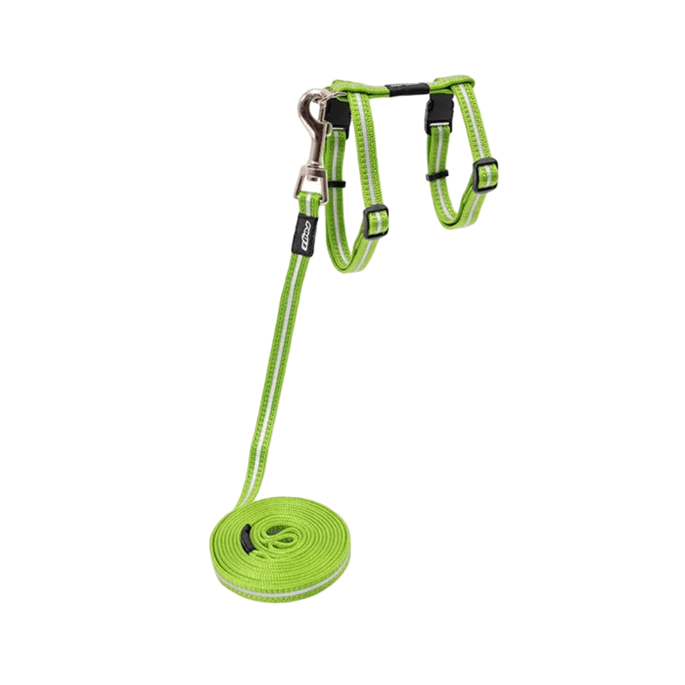 Alleycat Control Cat Harness and Lead Lime