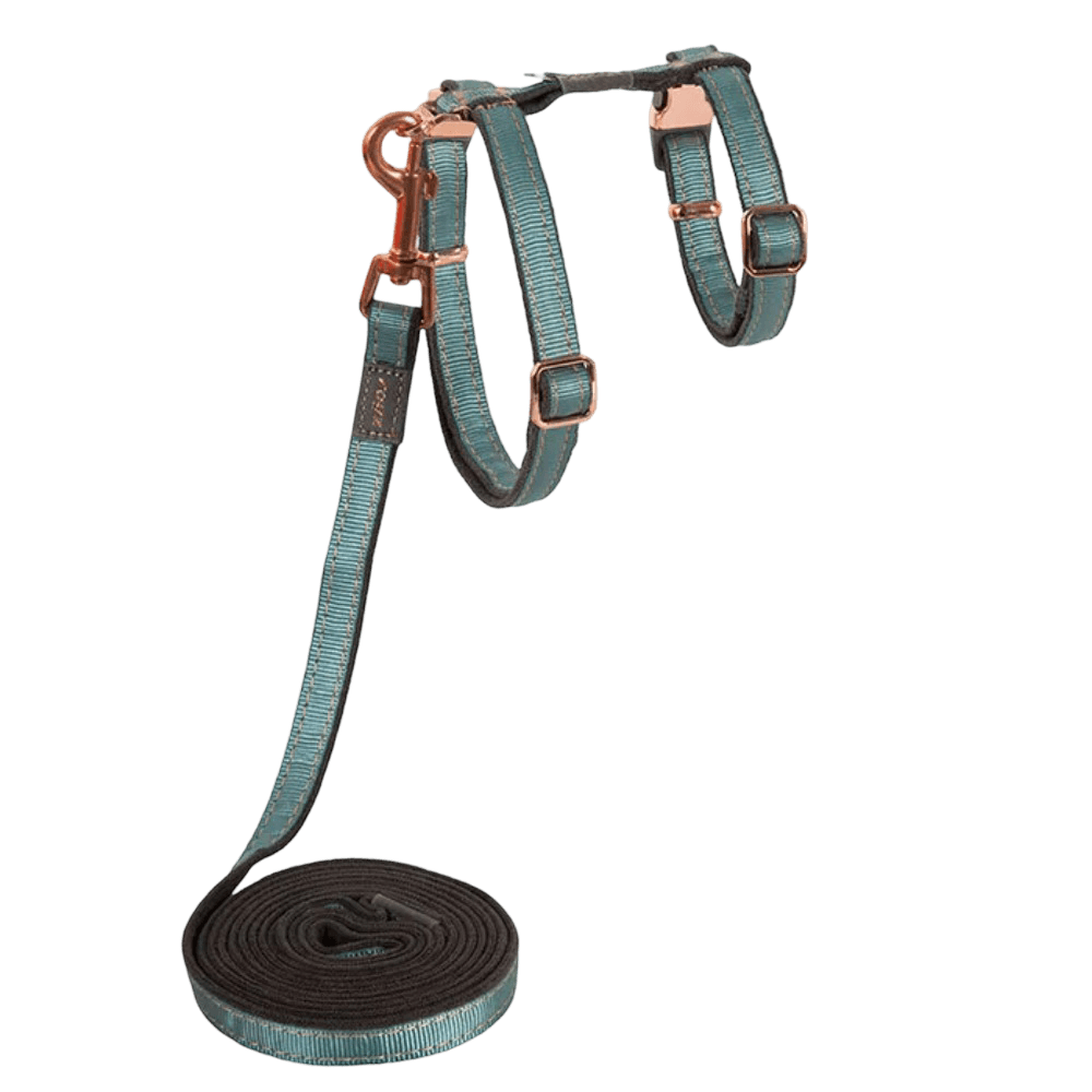 Urbancat Control Cat Harness and Lead Turquoise Moon