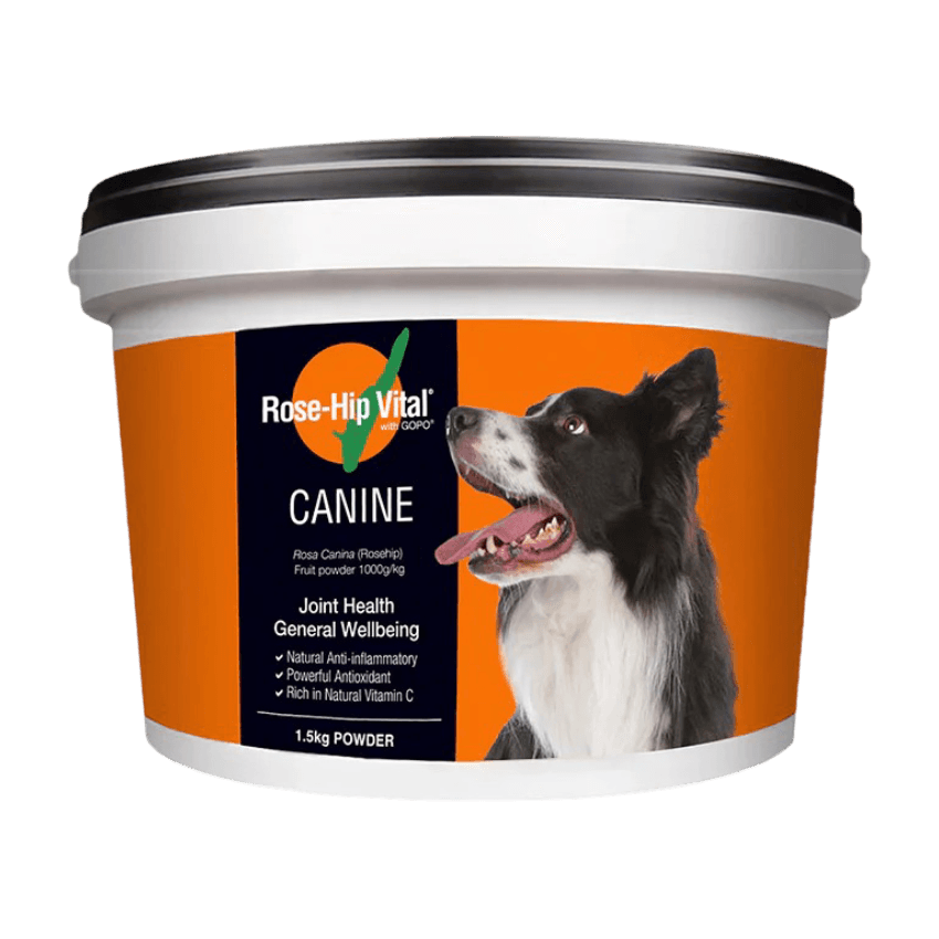 rose-hip-vital-canine