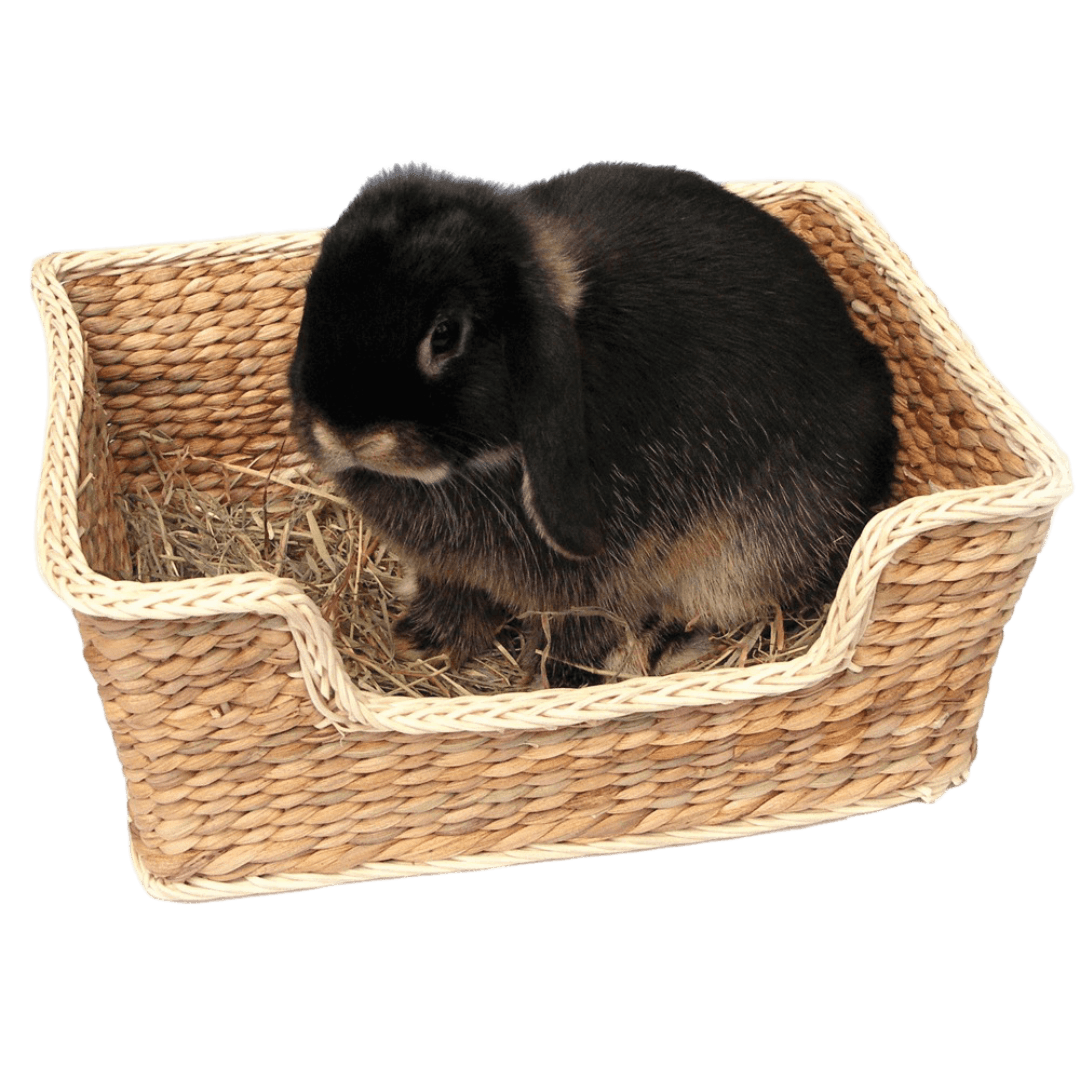 rosewood-chill-n-snooze-bed