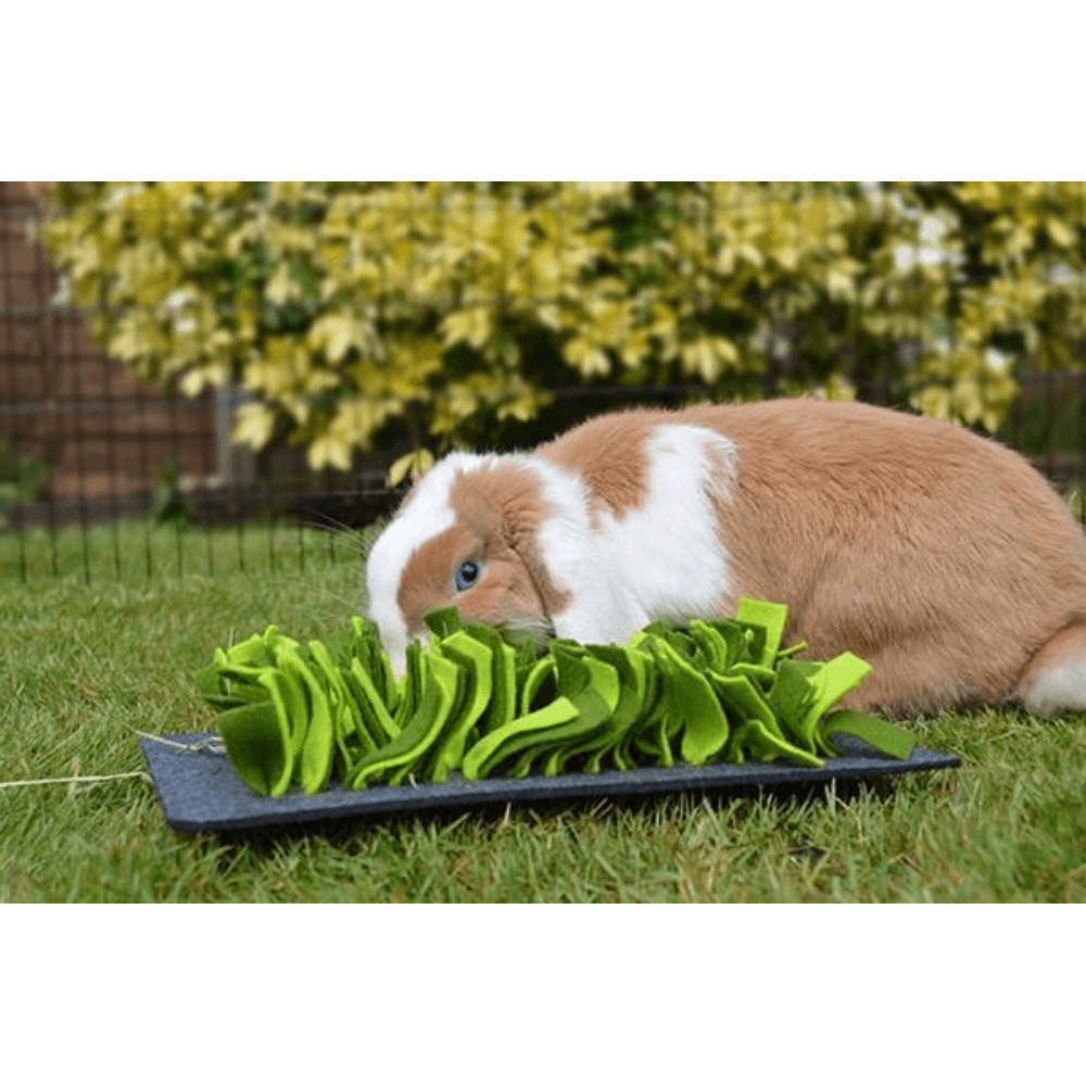 Snuffle mat - Small Pet Lifestyle