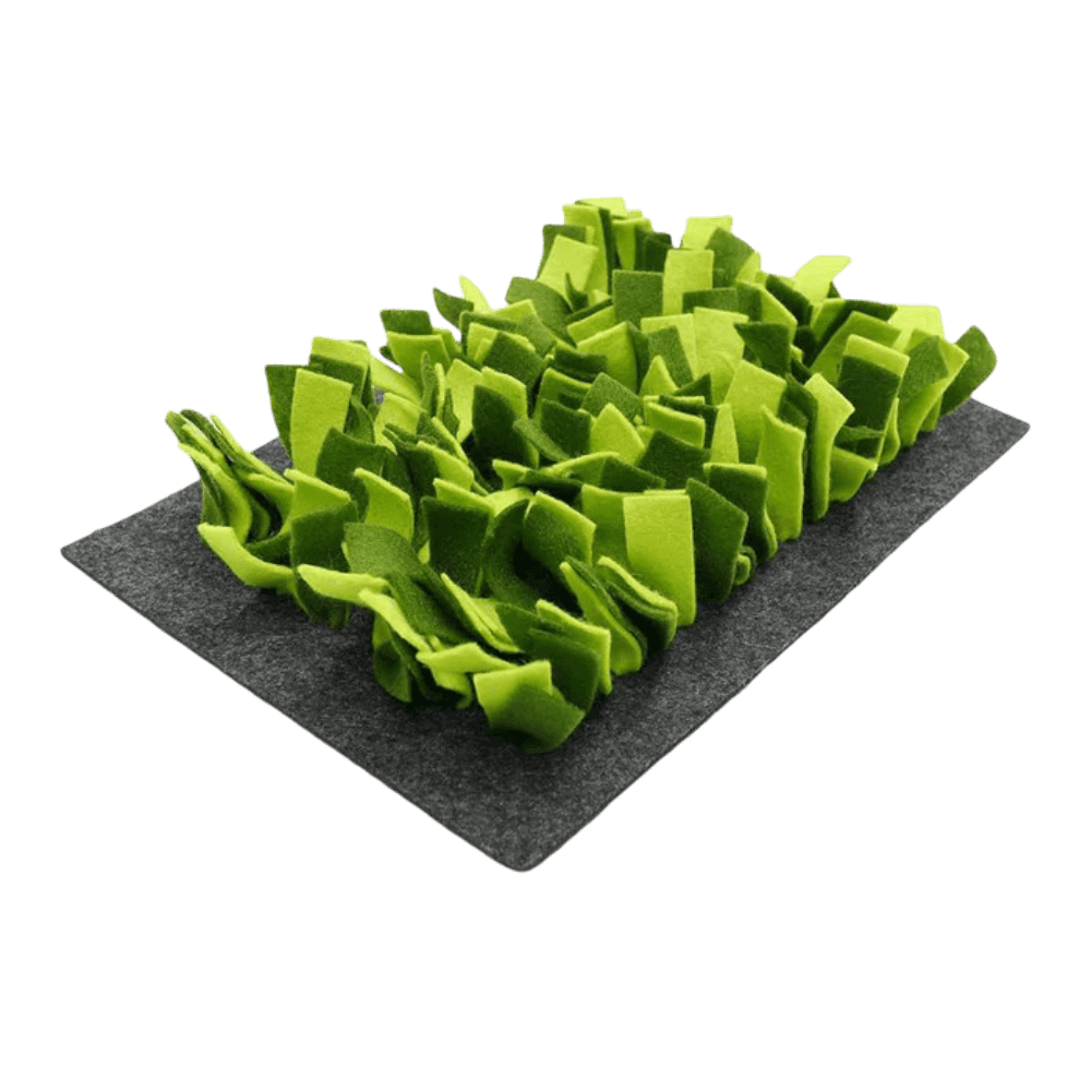 Snuffle mat - Small Pet