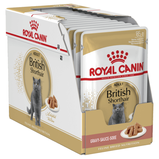 royal-canin-british-shorthair-wet-cat-food-pouches