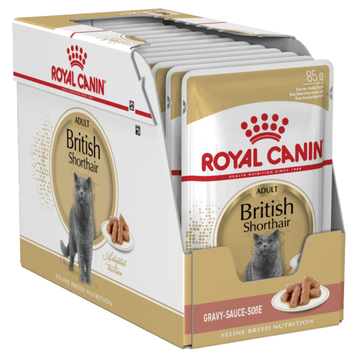 royal-canin-british-shorthair-wet-cat-food-pouches.png