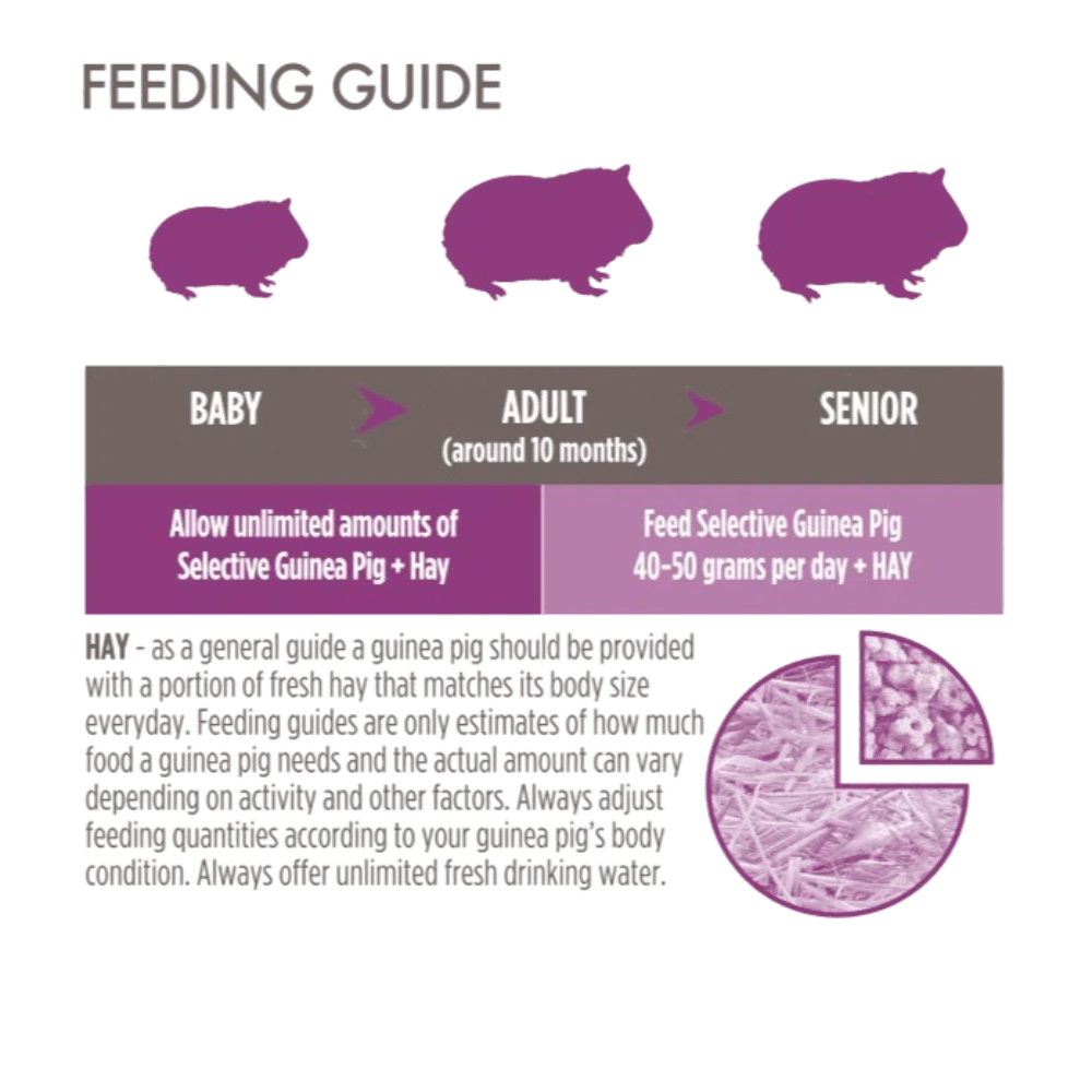 science-selective-balanced-adult-guinea-pig-pellet-food-with-vitamin-c