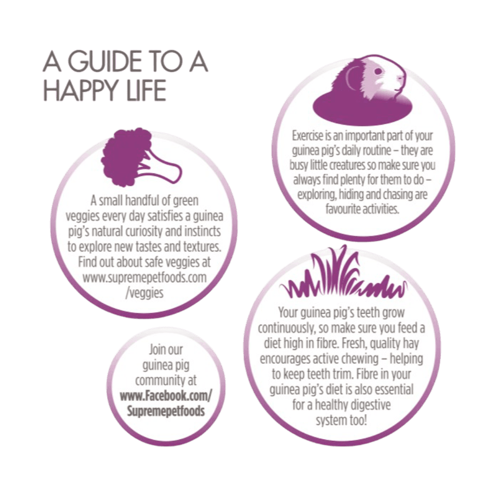 science-selective-balanced-adult-guinea-pig-pellet-food-with-vitamin-c