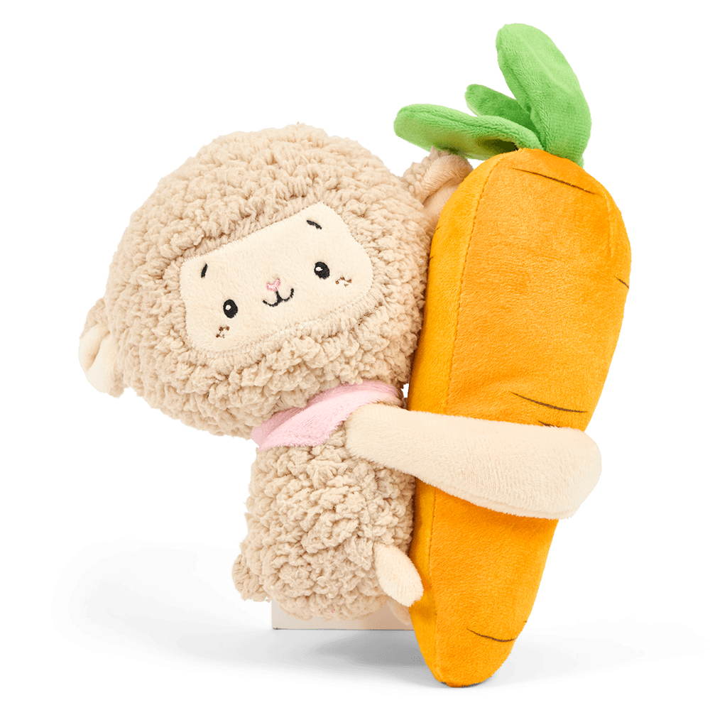 paws-for-life-hugmate-sheep-hugging-carrot-funny-squeaker-dog-toy