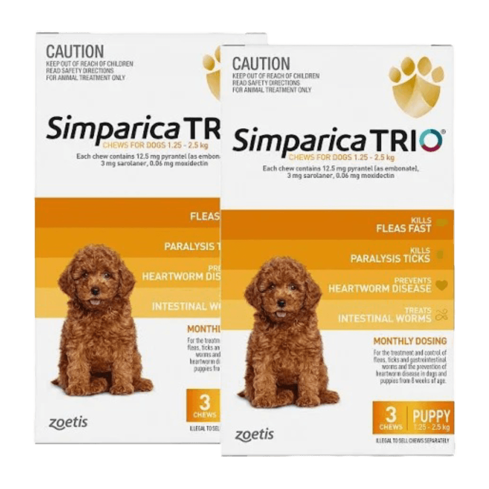 simparica-trio-puppy