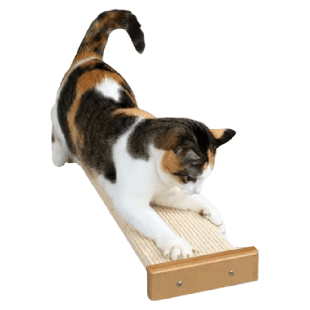 smartcat-combination-scratcher