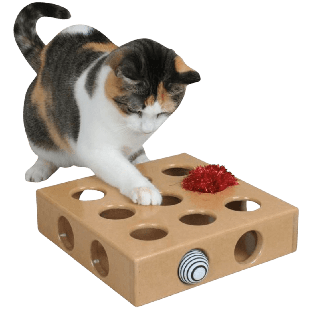 smartcat-peek-and-play-toy-box