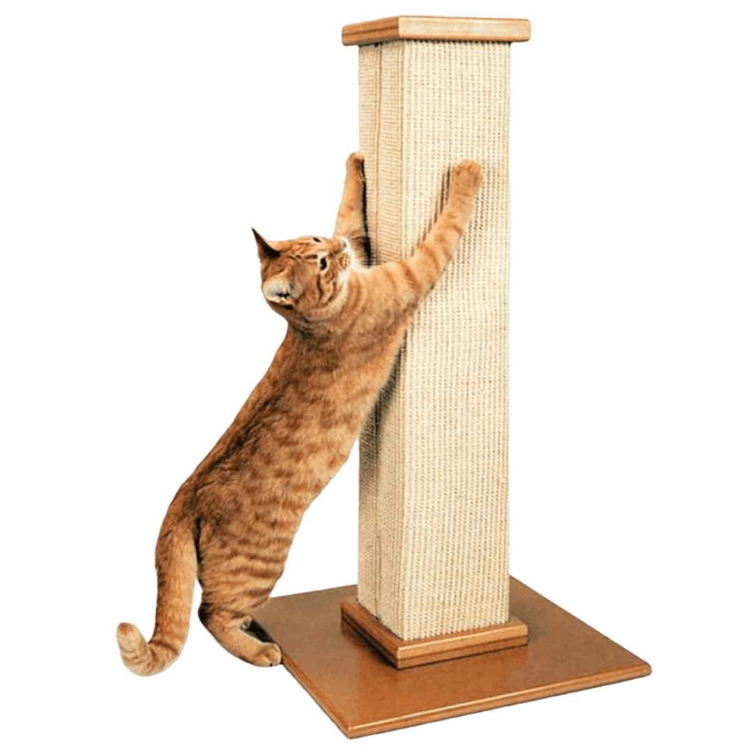 smartcat-ultimate-scratching-post