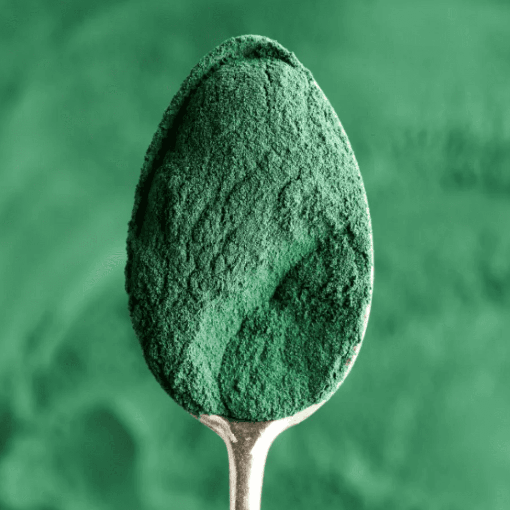 bestie thera broths urinary3