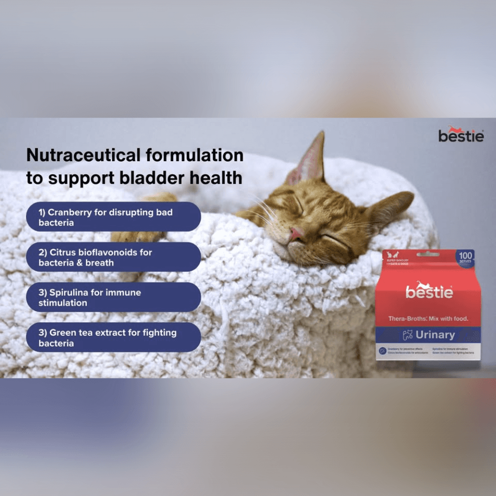 bestie thera broths urinary4