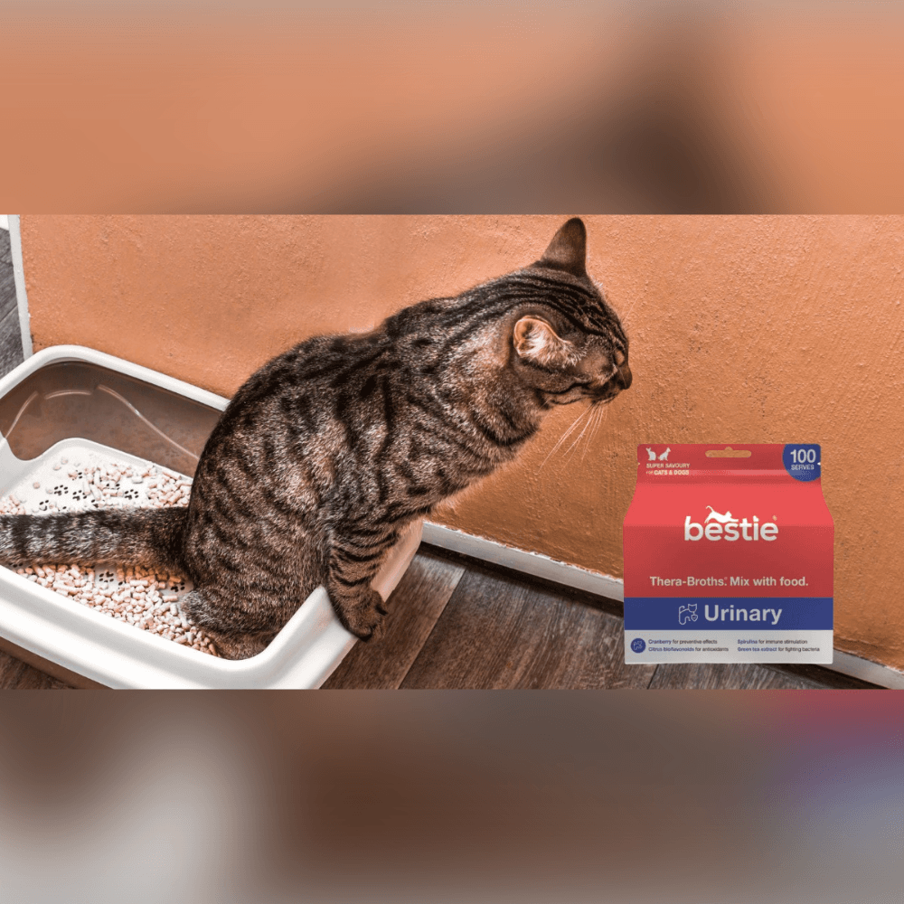 bestie thera broths urinary7