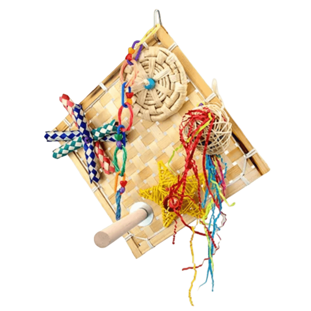 bainbridge-destructive-fiesta-wall-with-perch-foraging-bird-toy