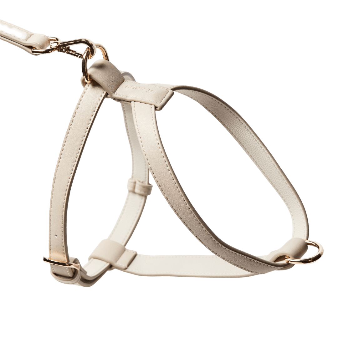 st-argo-vegan-leather-dog-harness-taupe