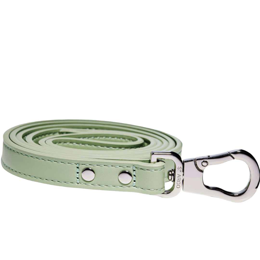 st-argo-vegan-leather-dog-lead-sage