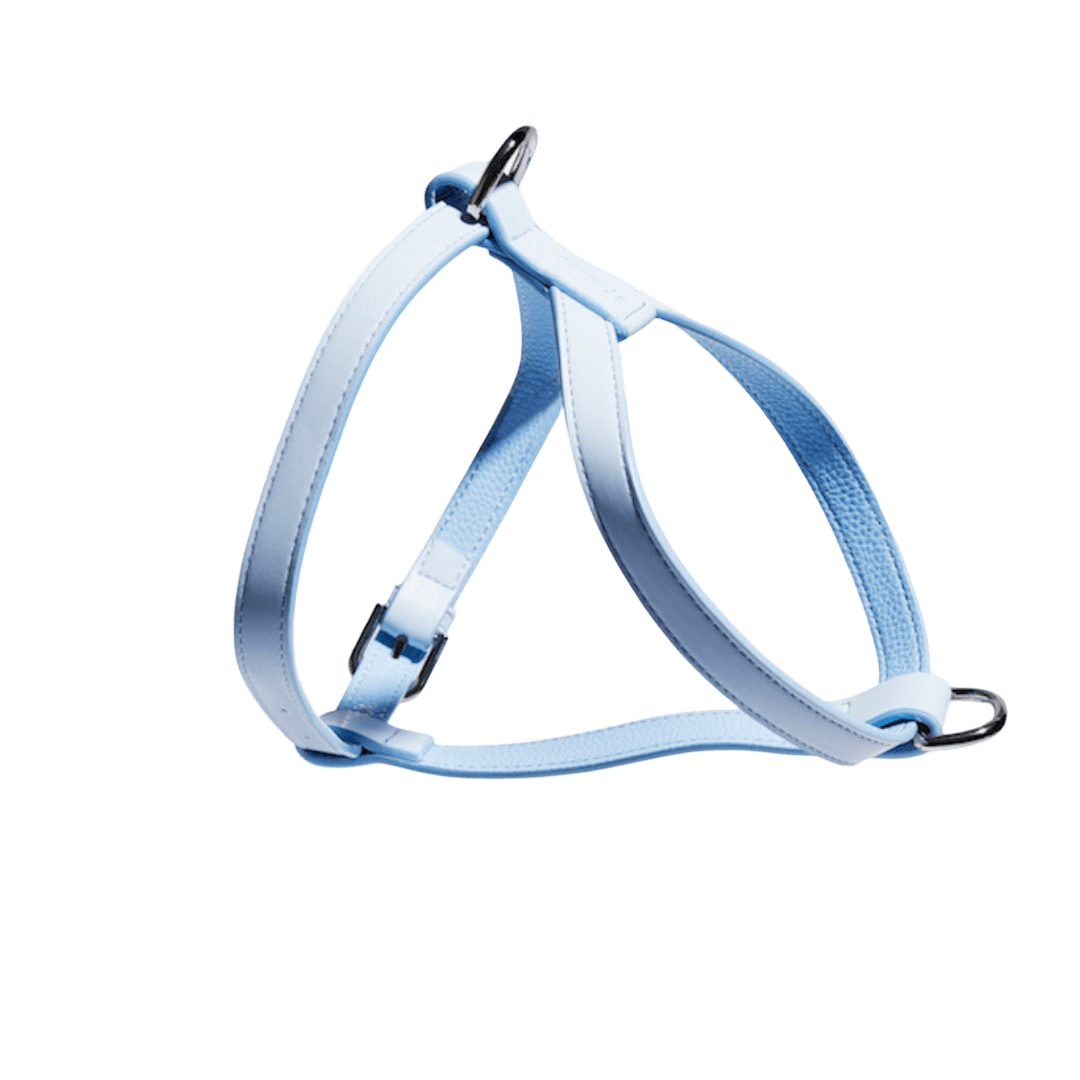 Vegan Leather Dog Harness in Tiffany Blue