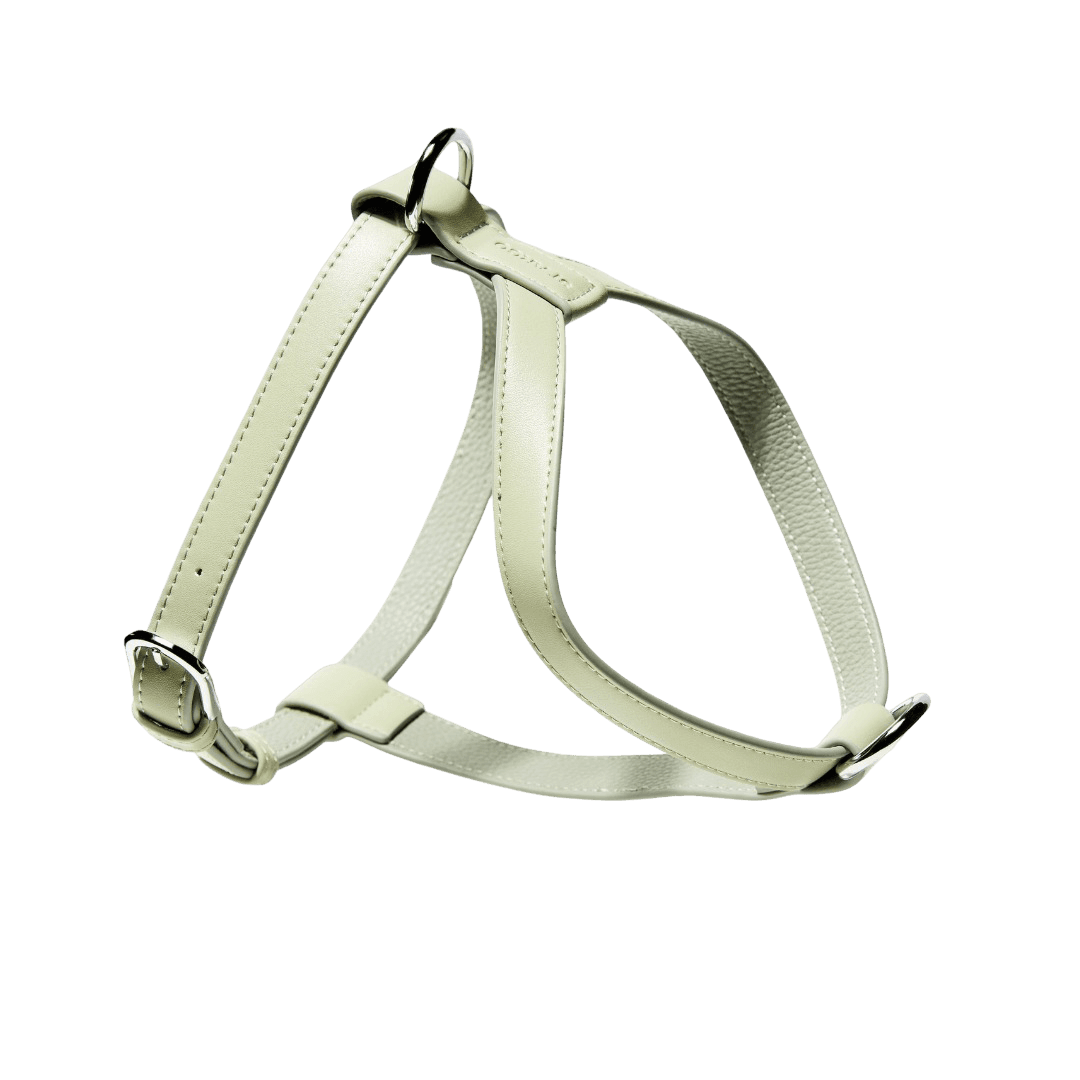 st-argo-vegan-leather-dog-harness-sage