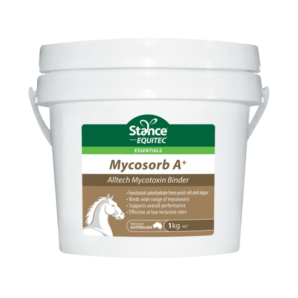 Mycotoxin A+