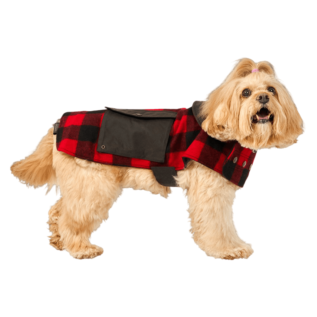 Swanndri Classic Wool Dog Coat Red