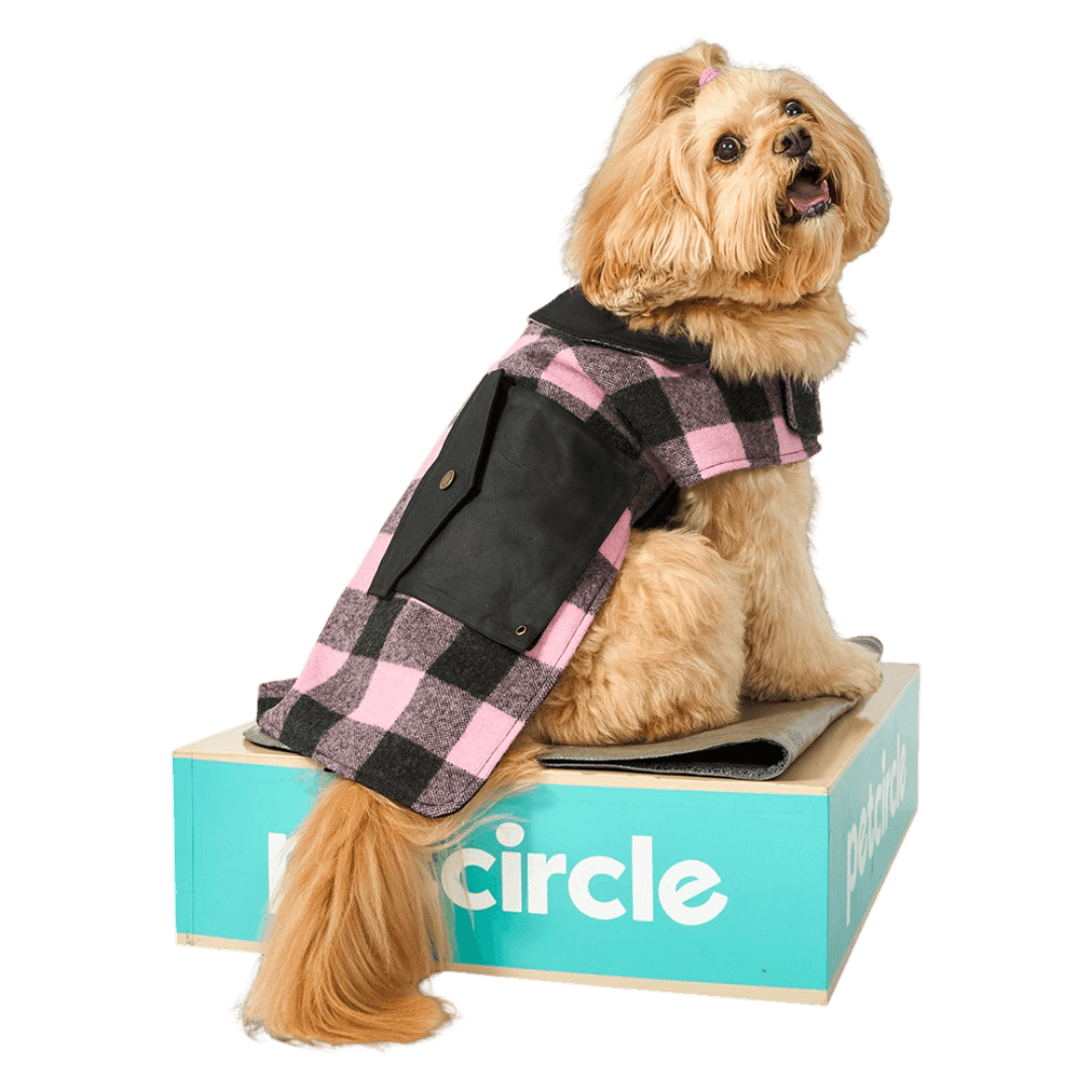 swanndri-classic-wool-dog-coat-pink