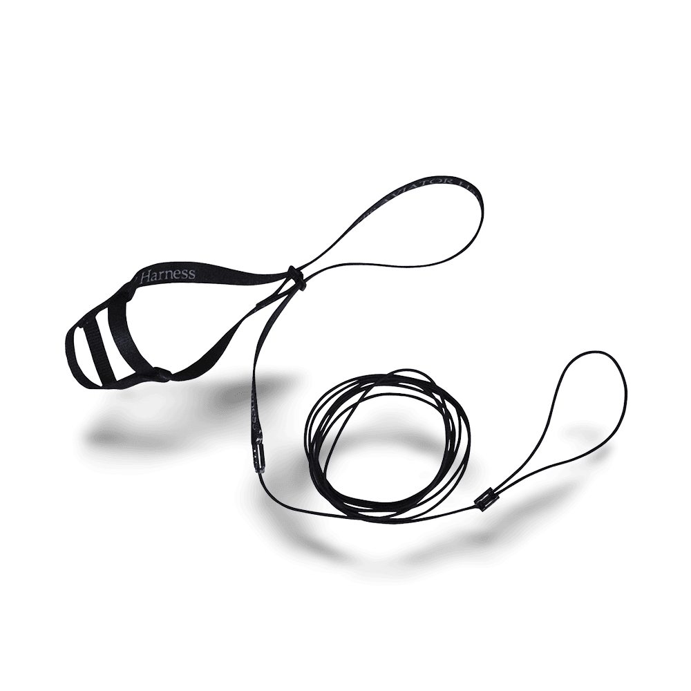 the-aviator-harness-and-leash-black